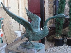 Bronze Swan